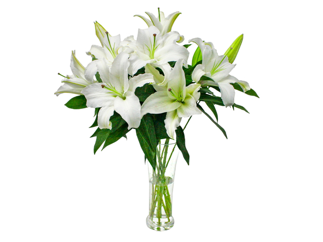 Florist Flower in Vase - Casablanca Florist Vase Decor L6 - L3135238 Photo